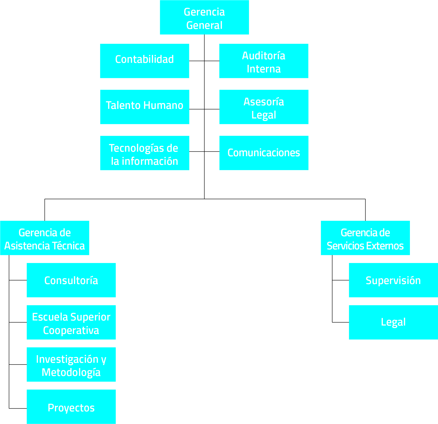 Organic Structure of the Executive Level