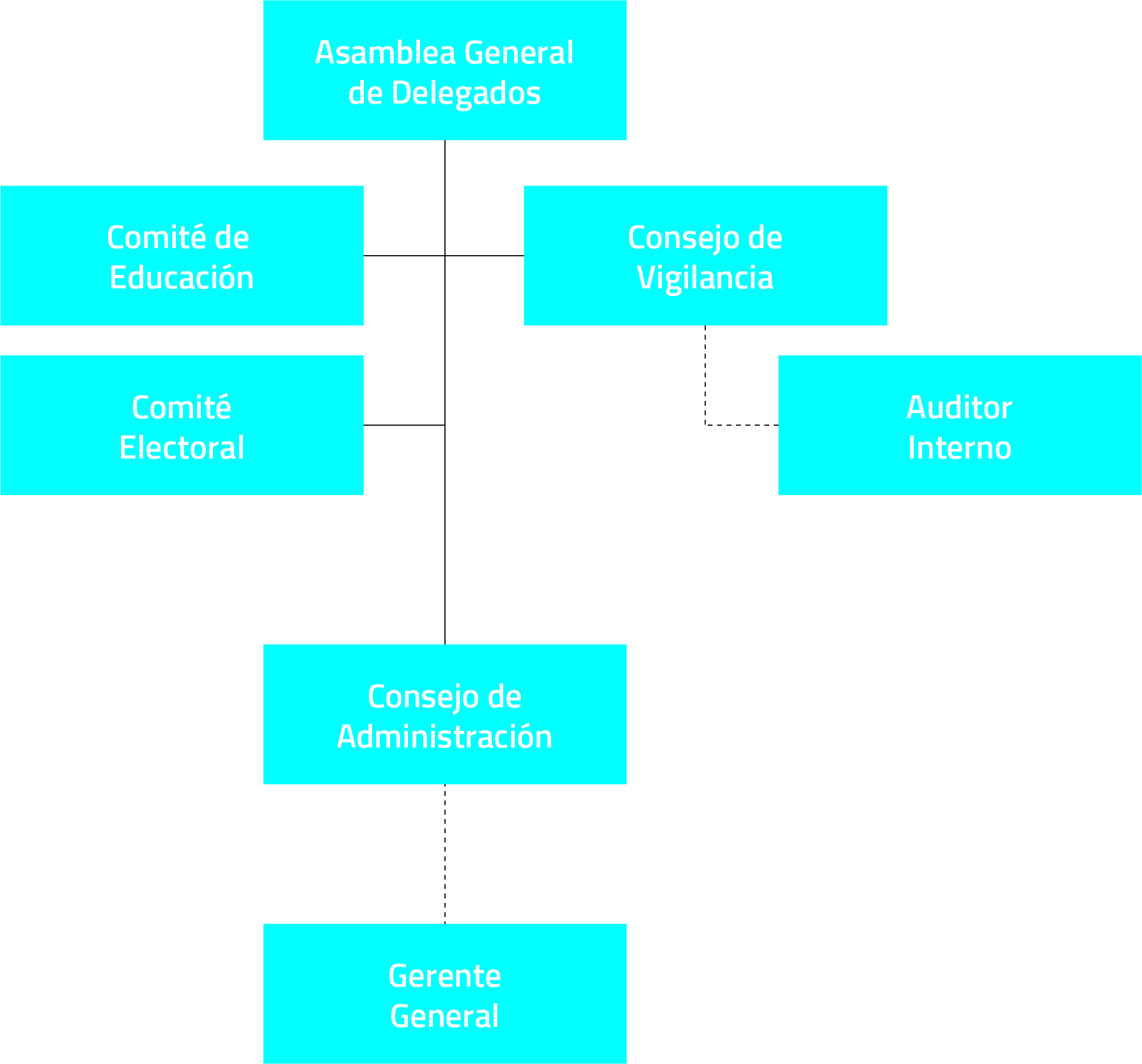 Estrutura Orgânica do Nível Representativo